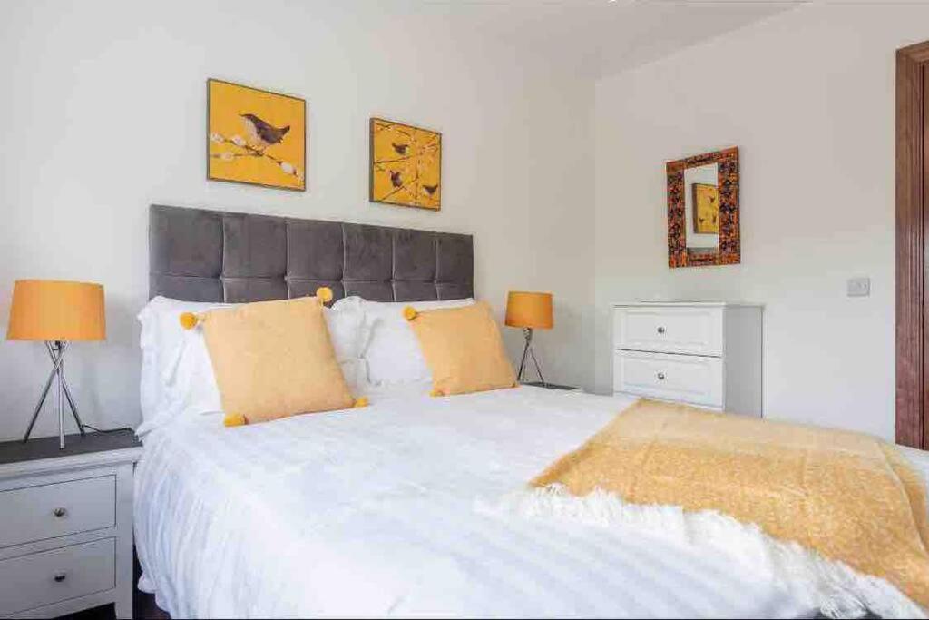 Wonderful Coastal Home In Dingle Town المظهر الخارجي الصورة